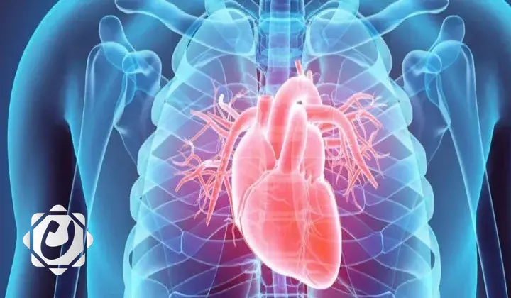 تغيرات نظام الأوعية الدموية مع التقدم في العمر وسبل الحماية