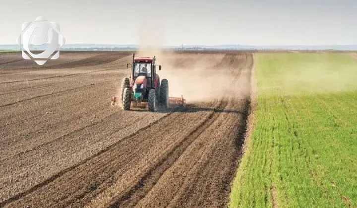 مزارعو ميسان يجددون مطالبهم بإطلاق الخطة الزراعية للموسم الشتوي