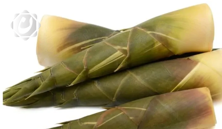 دراسة تكشف عن فوائد صحية لبراعم الخيزران وتحذر من مخاطر استهلاكها غير المحضر