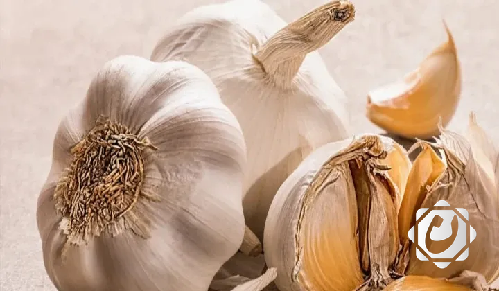 دراسة صينية: الثوم يقلل من الكوليسترول الضار ويعزز صحة القلب
