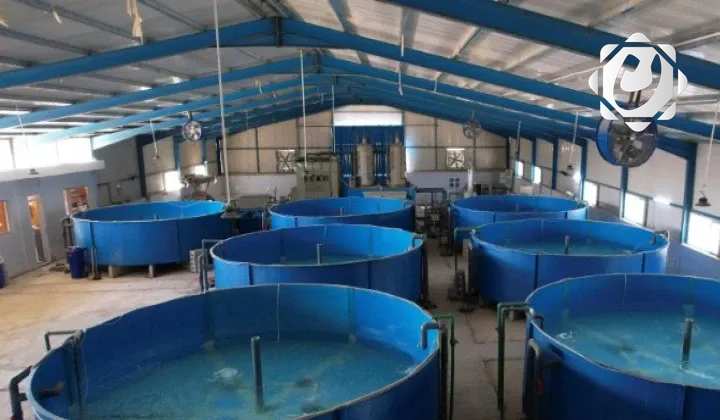 إجراءات صارمة من وزارة الموارد المائية ضد مربي الأسماك المخالفين