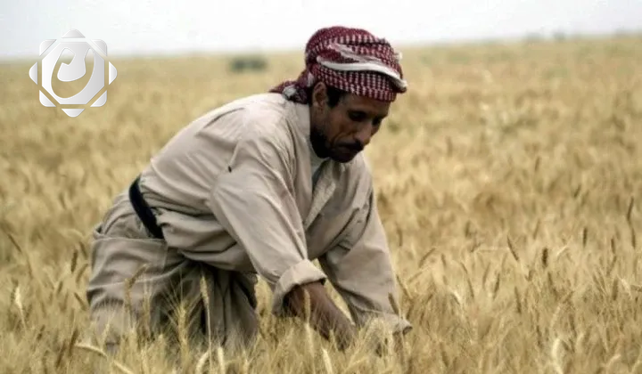 تحرك نيابي لتأجيل ديون الفلاحين لمدة ثلاث سنوات دون فوائد