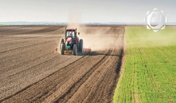 العراق يشكل خلية أزمة لمواجهة تداعيات الحرب على القطاع الزراعي