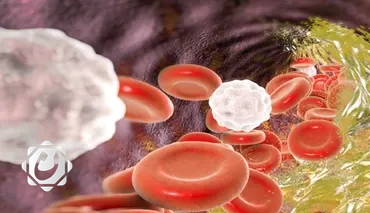 تحذير طبي: الكوليسترول خطر يهدد الجميع بما في ذلك النحفاء