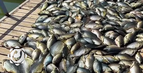 الجبوري: تلوث حوض دجلة يشكل كارثة دائمة تتطلب تحقيقاً