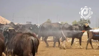 تسجيل حالتي وفاة بالحمى النزفية في ذي قار خلال نيسان